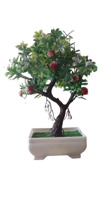 BONSAI DE NATAL